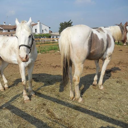 Agriturismo Le Mura Del Gherlo Willa Valeggio sul Mincio Zewnętrze zdjęcie