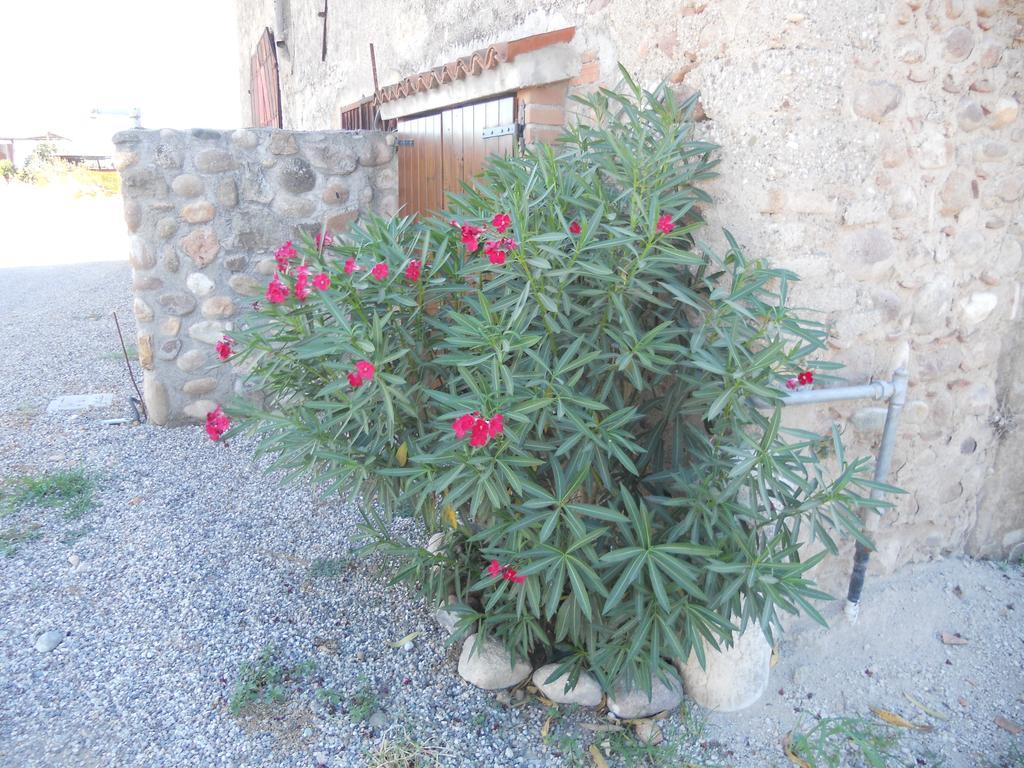 Agriturismo Le Mura Del Gherlo Willa Valeggio sul Mincio Zewnętrze zdjęcie
